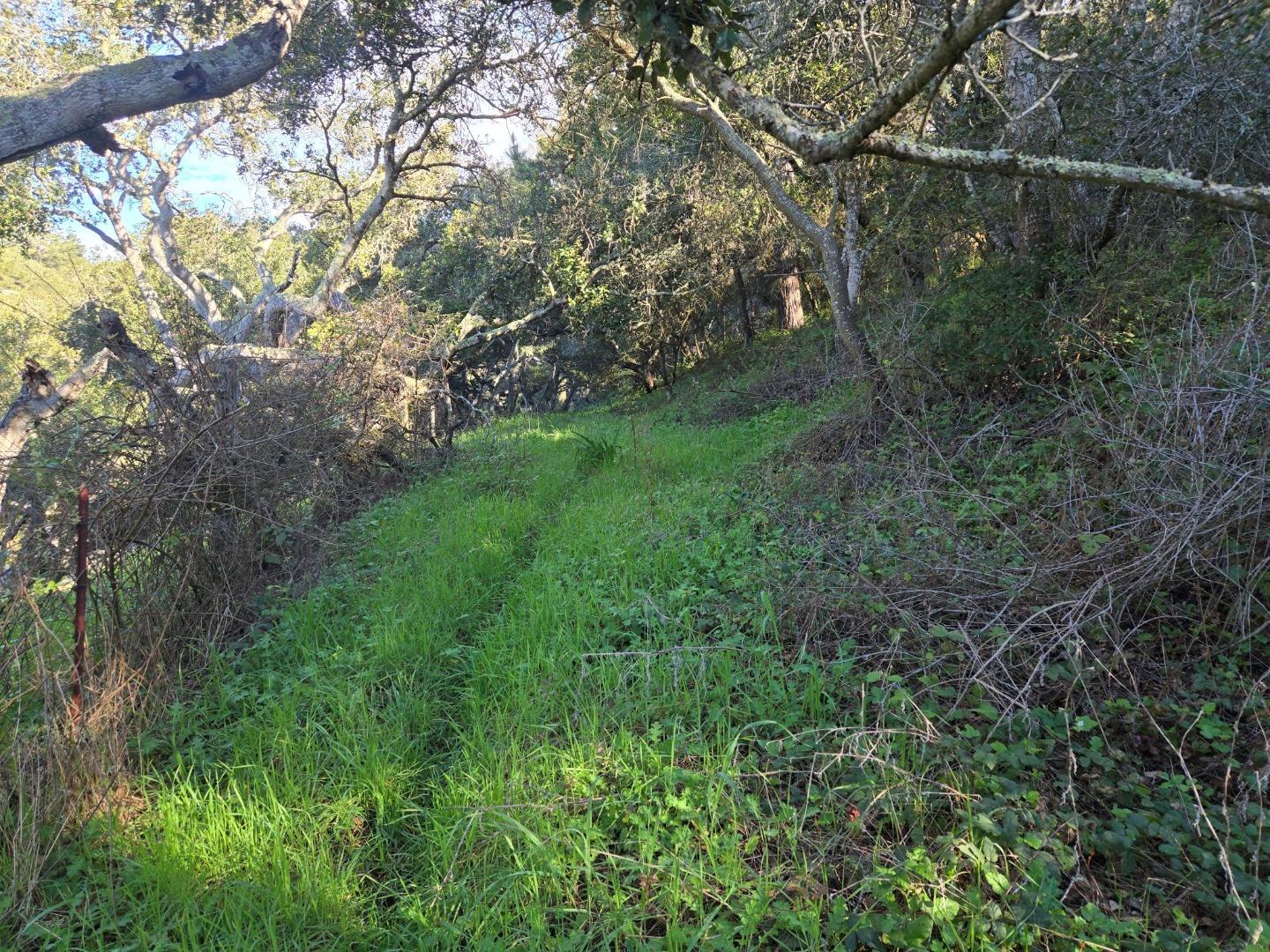 Detail Gallery Image 18 of 29 For 0 Paradise Rd, Salinas,  CA 93907 - – Beds | – Baths