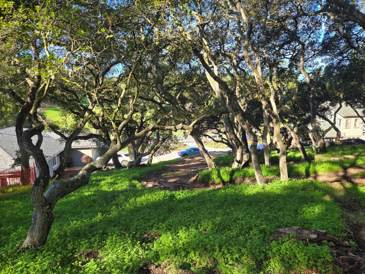 Detail Gallery Image 2 of 29 For 0 Paradise Rd, Salinas,  CA 93907 - – Beds | – Baths