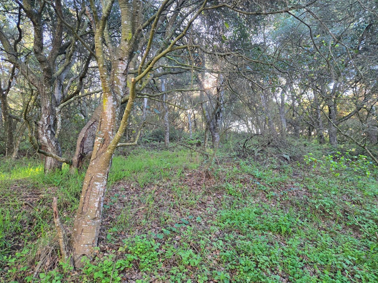 Detail Gallery Image 24 of 29 For 0 Paradise Rd, Salinas,  CA 93907 - – Beds | – Baths