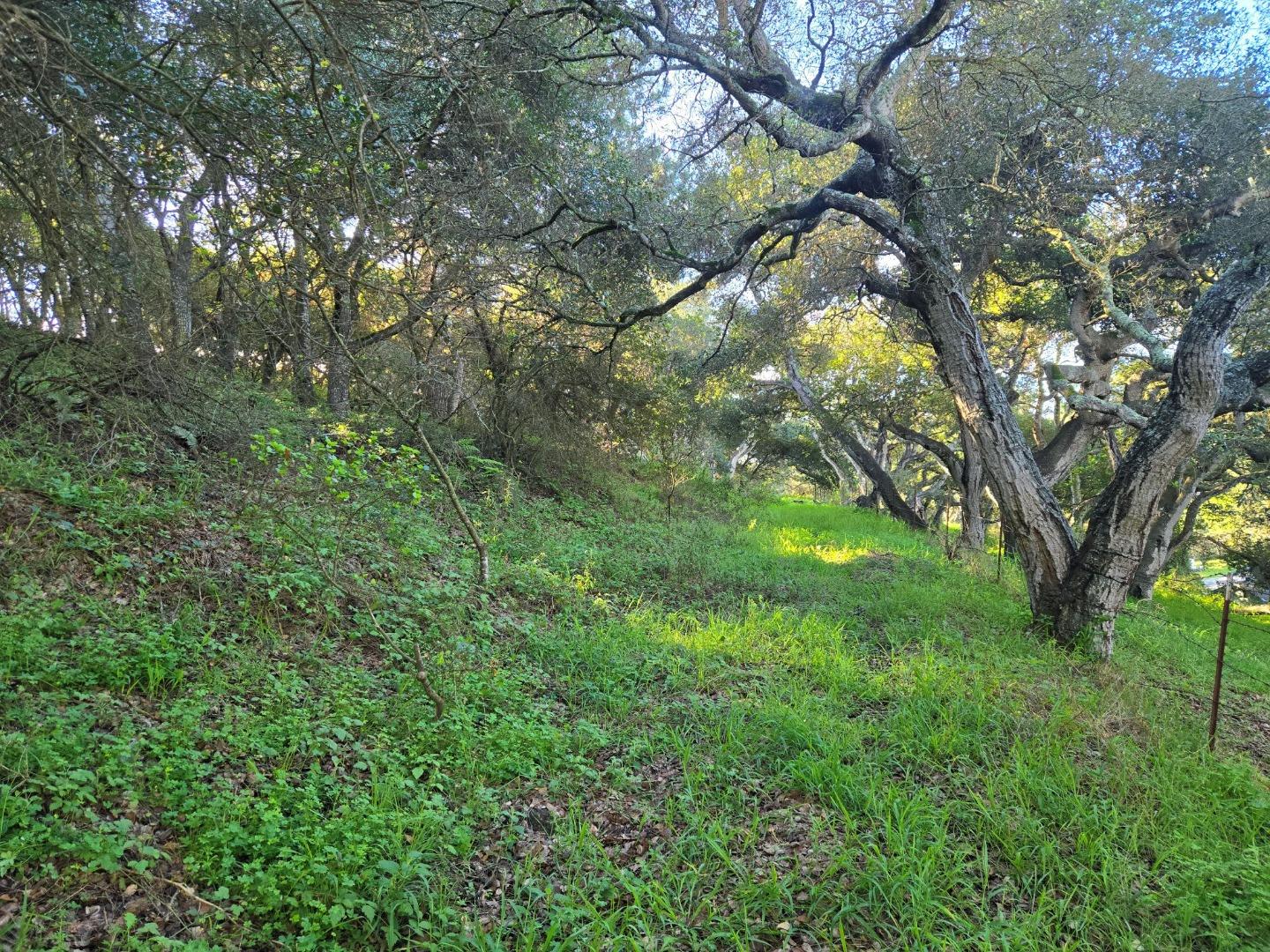 Detail Gallery Image 26 of 29 For 0 Paradise Rd, Salinas,  CA 93907 - – Beds | – Baths