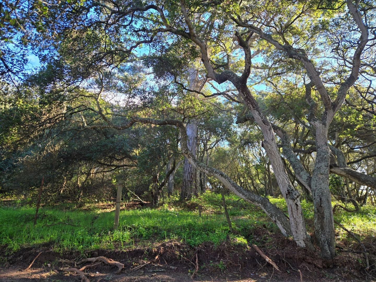 Detail Gallery Image 27 of 29 For 0 Paradise Rd, Salinas,  CA 93907 - – Beds | – Baths