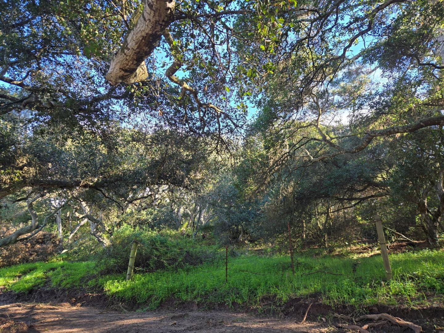 Detail Gallery Image 29 of 29 For 0 Paradise Rd, Salinas,  CA 93907 - – Beds | – Baths