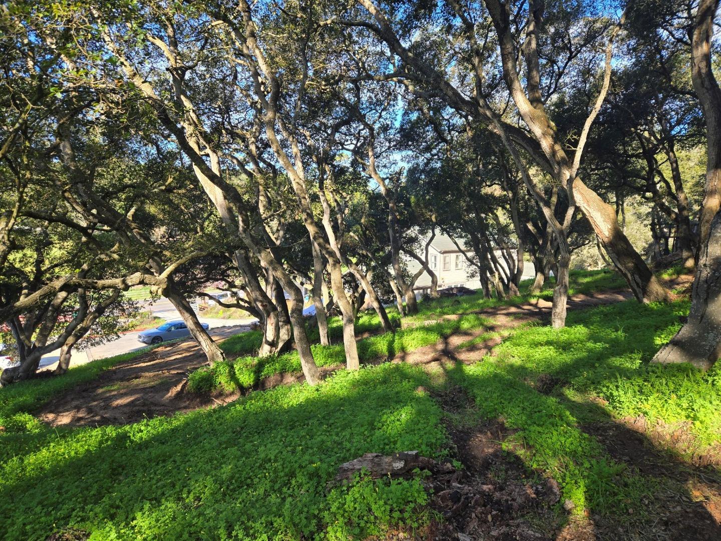 Detail Gallery Image 3 of 29 For 0 Paradise Rd, Salinas,  CA 93907 - – Beds | – Baths