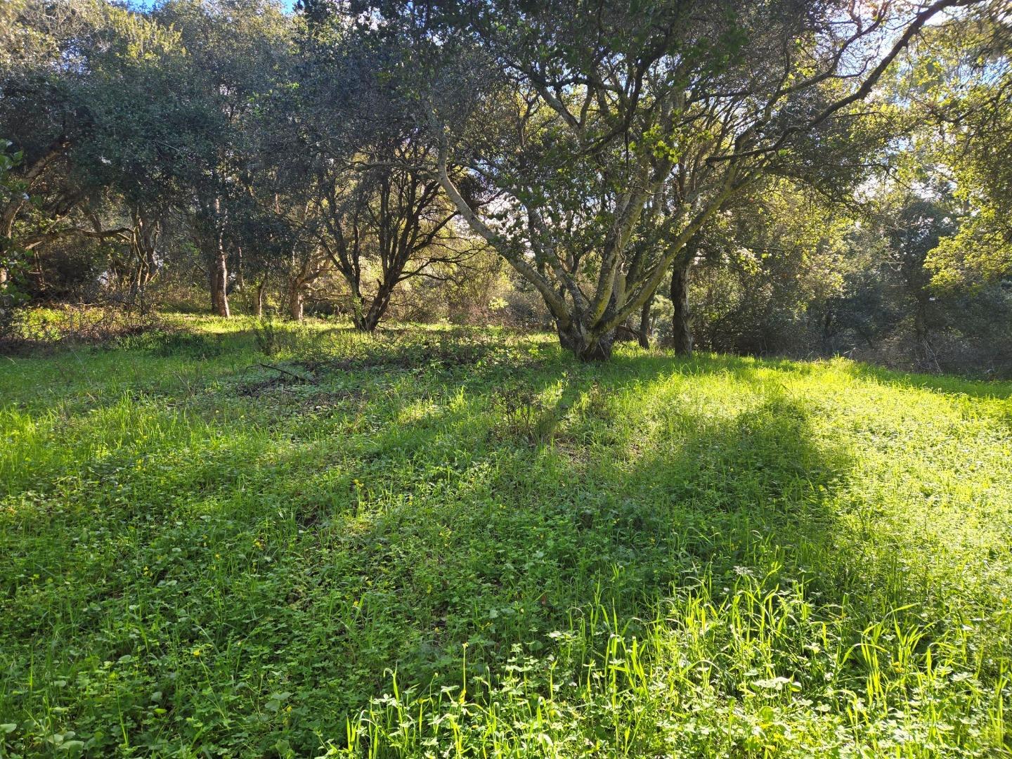 Detail Gallery Image 6 of 29 For 0 Paradise Rd, Salinas,  CA 93907 - – Beds | – Baths