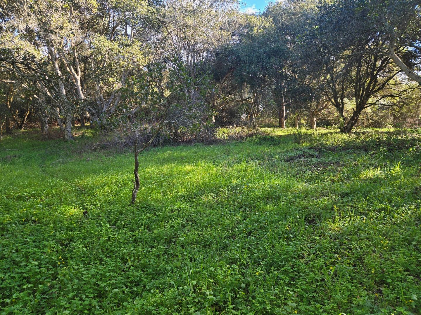 Detail Gallery Image 7 of 29 For 0 Paradise Rd, Salinas,  CA 93907 - – Beds | – Baths