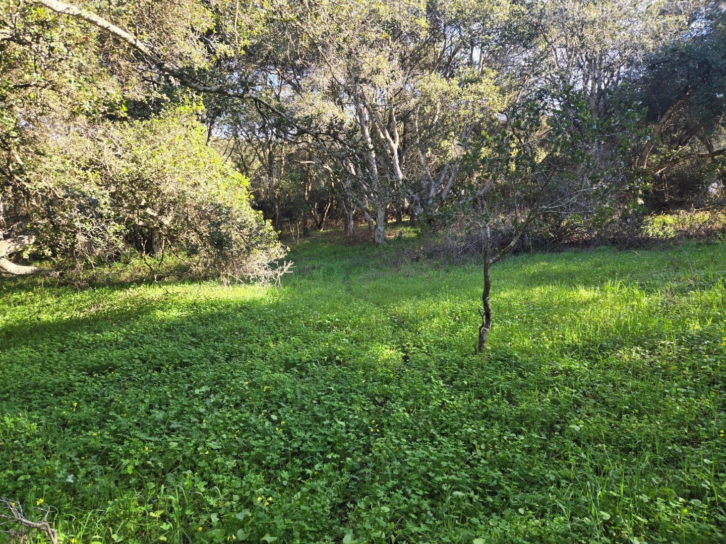 Detail Gallery Image 8 of 29 For 0 Paradise Rd, Salinas,  CA 93907 - – Beds | – Baths