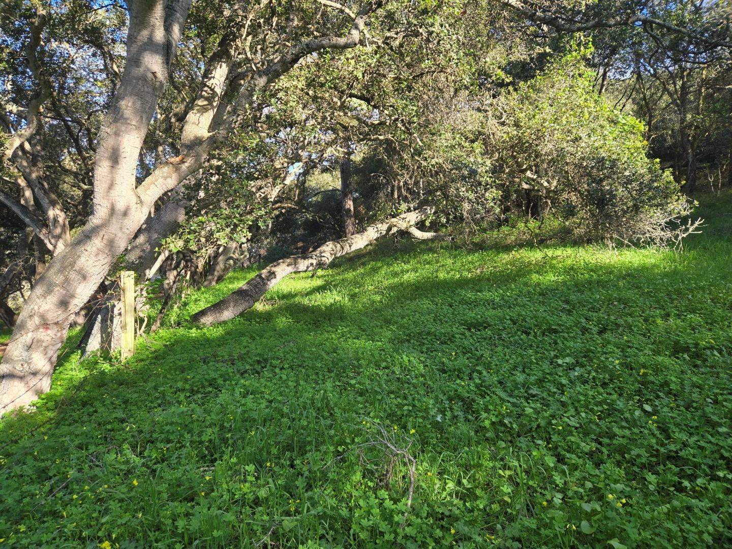 Detail Gallery Image 9 of 29 For 0 Paradise Rd, Salinas,  CA 93907 - – Beds | – Baths