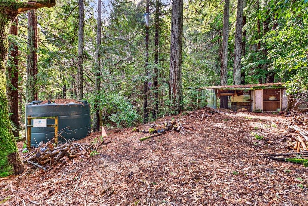 Detail Gallery Image 30 of 32 For 13033 Lompico Rd, Felton,  CA 95018 - 2 Beds | 2 Baths