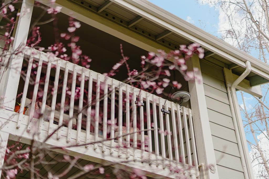 Photo #31: ML82036080 Listing: Photo #31