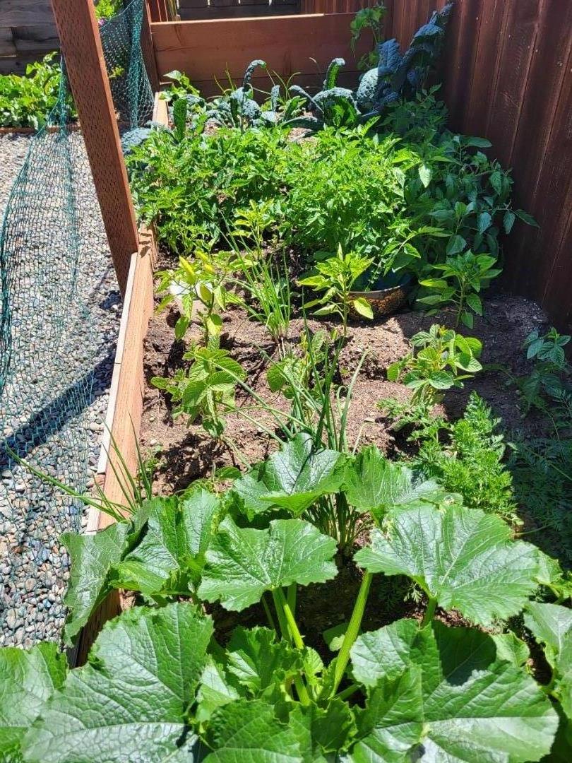 Detail Gallery Image 38 of 40 For 750 El Camino Paraiso, Hollister,  CA 95023 - 3 Beds | 1/1 Baths