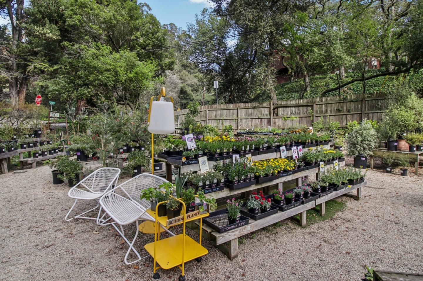 Detail Gallery Image 89 of 101 For 6875 the Turn, Oakland,  CA 94611 - 3 Beds | 2/1 Baths