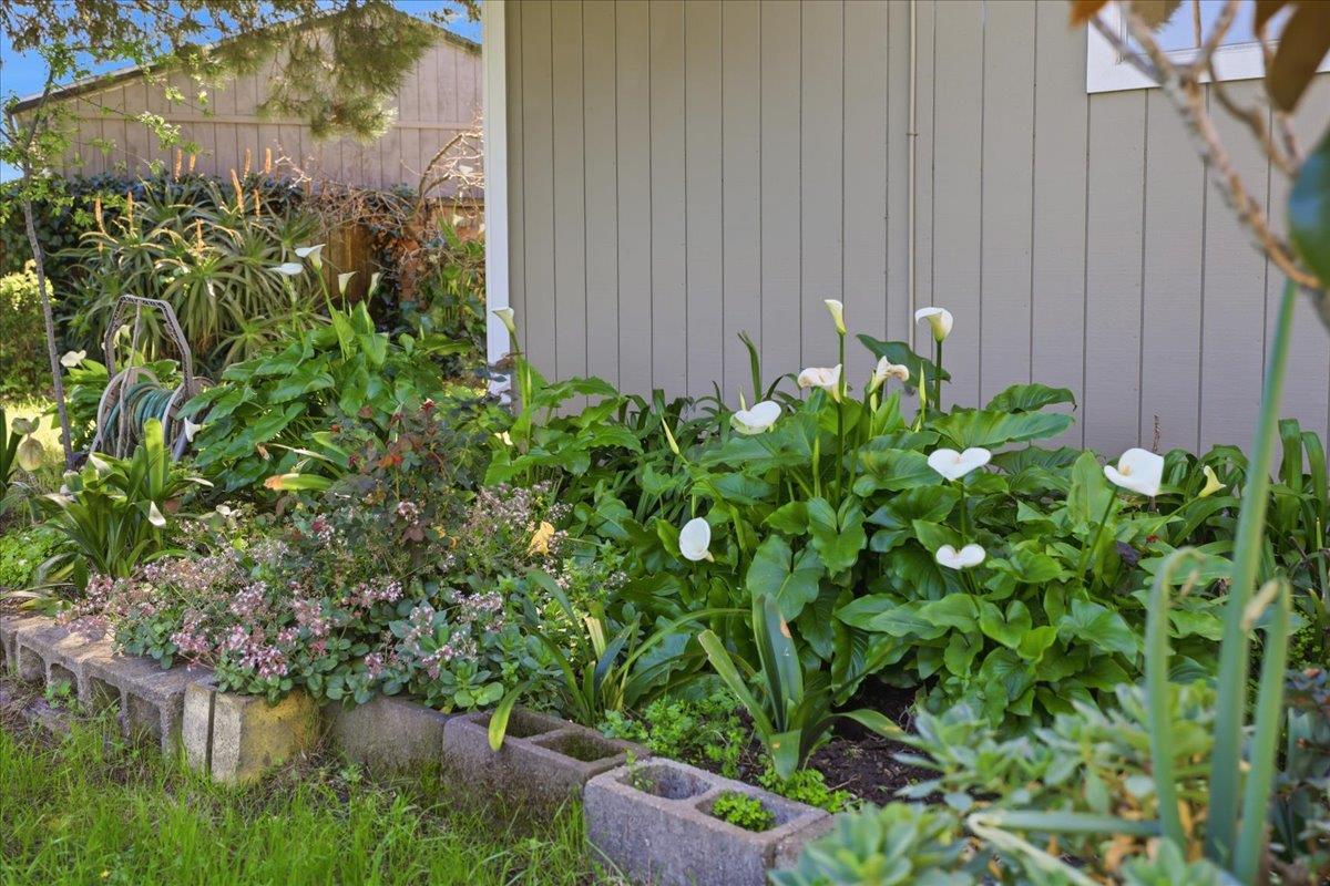 Detail Gallery Image 67 of 79 For 609 Gloria Ct, San Mateo,  CA 94401 - 4 Beds | 2 Baths