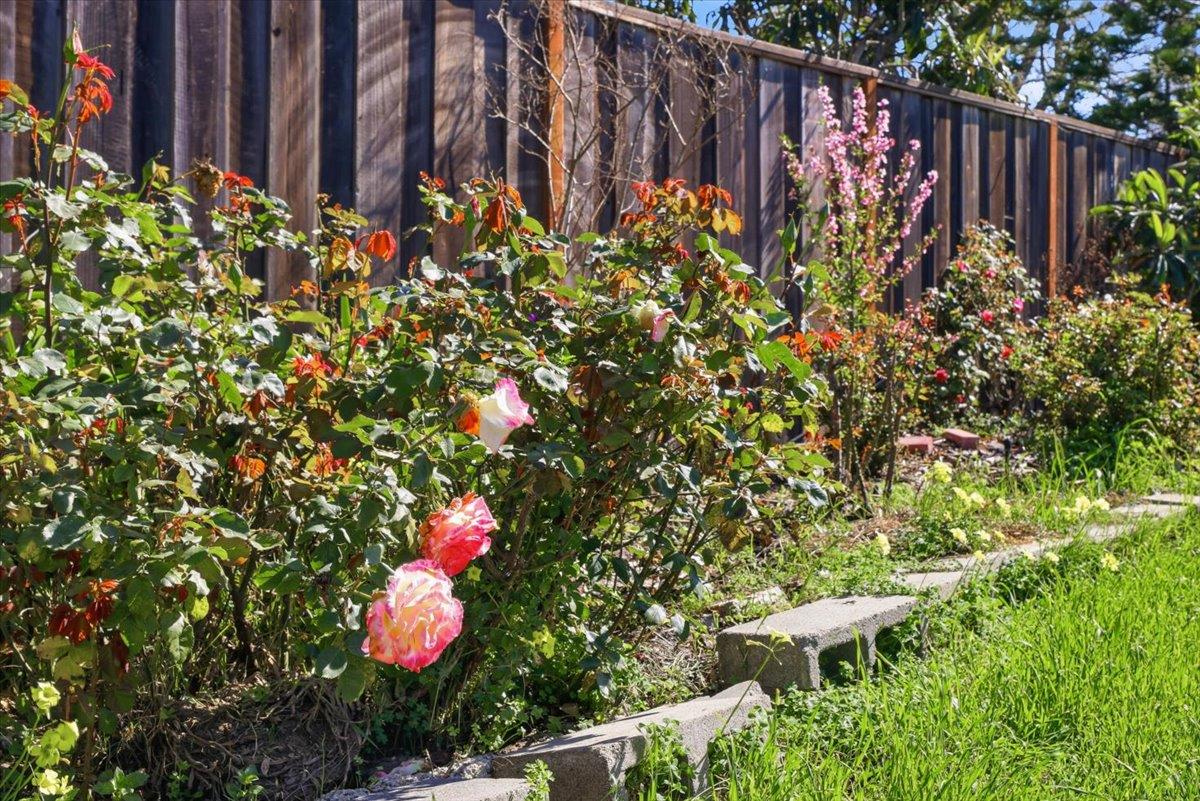 Detail Gallery Image 68 of 79 For 609 Gloria Ct, San Mateo,  CA 94401 - 4 Beds | 2 Baths