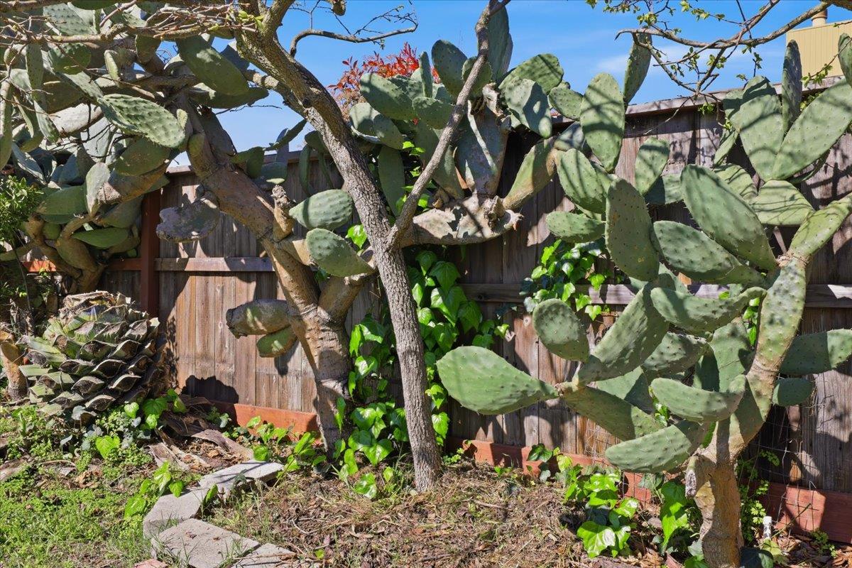 Detail Gallery Image 69 of 79 For 609 Gloria Ct, San Mateo,  CA 94401 - 4 Beds | 2 Baths