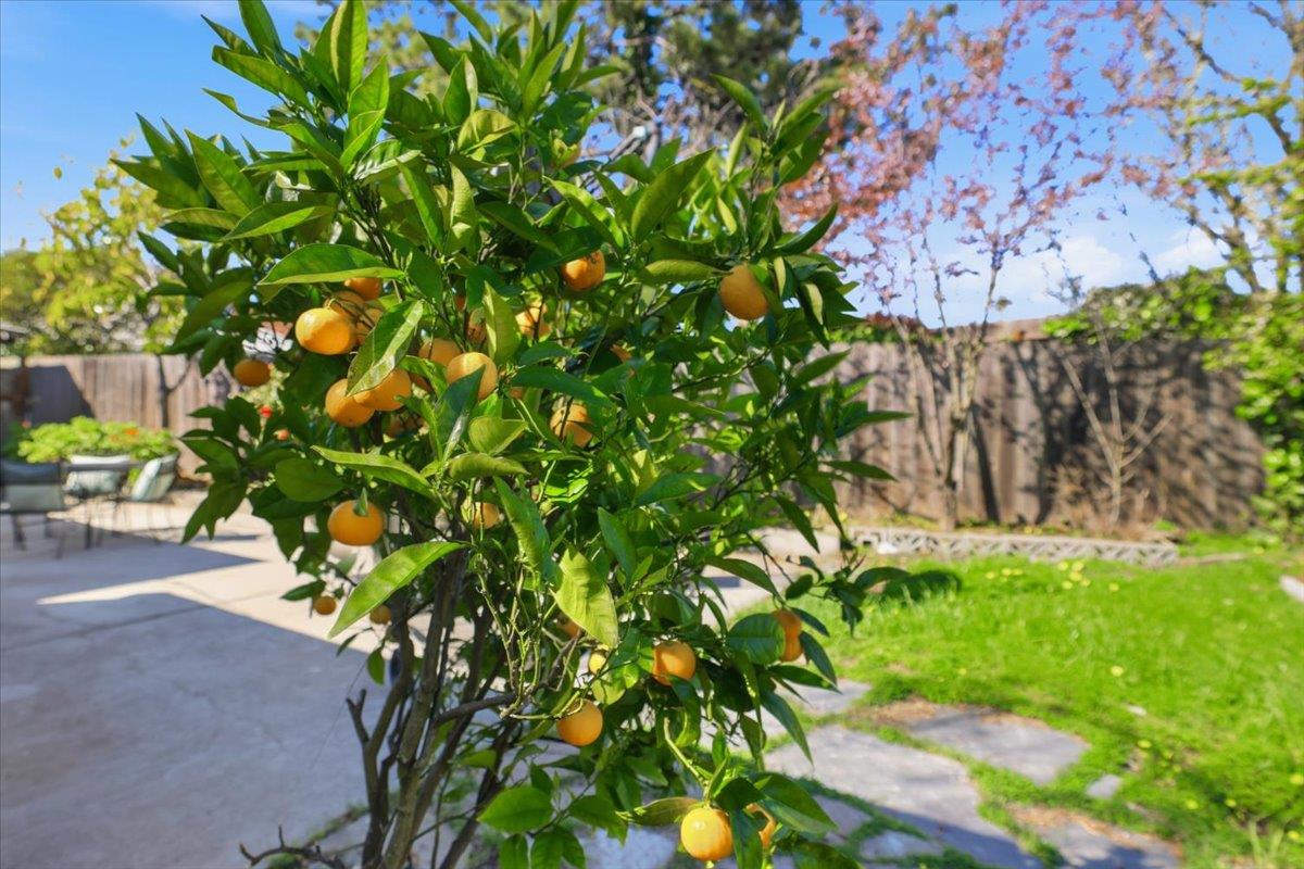 Detail Gallery Image 70 of 79 For 609 Gloria Ct, San Mateo,  CA 94401 - 4 Beds | 2 Baths