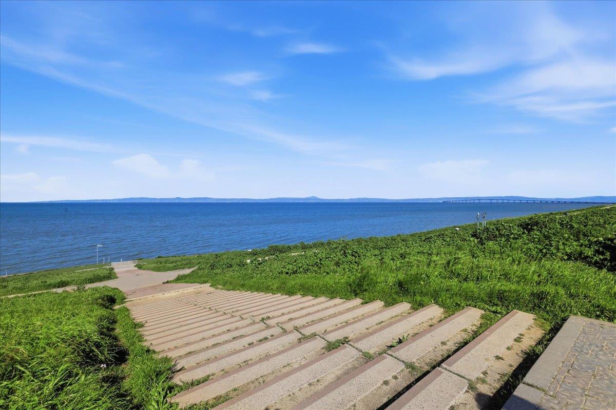 Detail Gallery Image 72 of 79 For 609 Gloria Ct, San Mateo,  CA 94401 - 4 Beds | 2 Baths