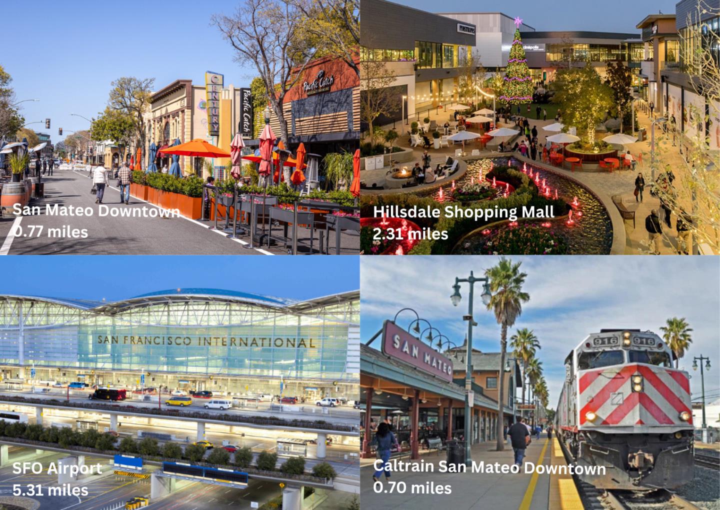 Detail Gallery Image 76 of 79 For 609 Gloria Ct, San Mateo,  CA 94401 - 4 Beds | 2 Baths