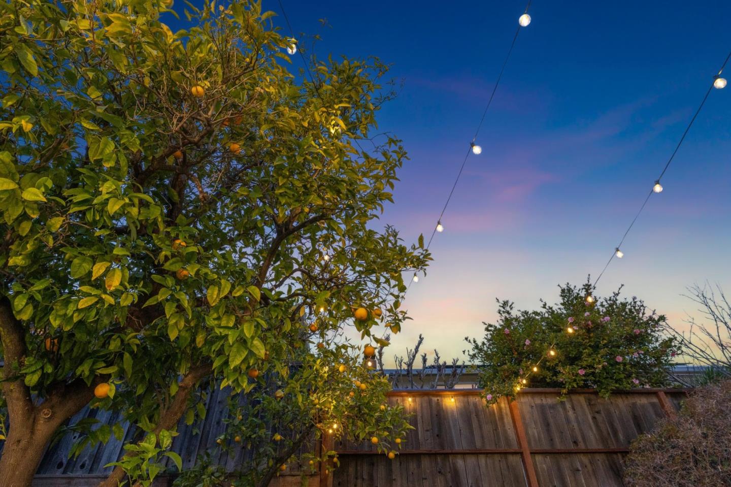 Detail Gallery Image 62 of 62 For 2018 Monroe Ave, Belmont,  CA 94002 - 3 Beds | 1 Baths