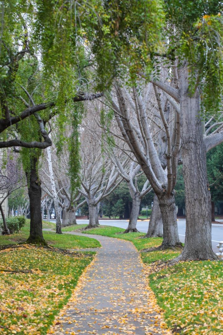 Photo #22: ML82036150 Listing: Photo #22