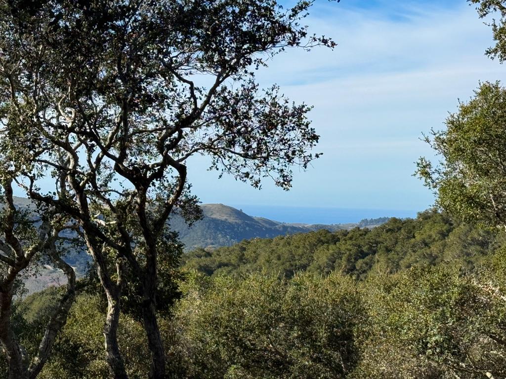 Detail Gallery Image 5 of 11 For 70 Chamisal Pass, Carmel Valley,  CA 93923 - – Beds | – Baths