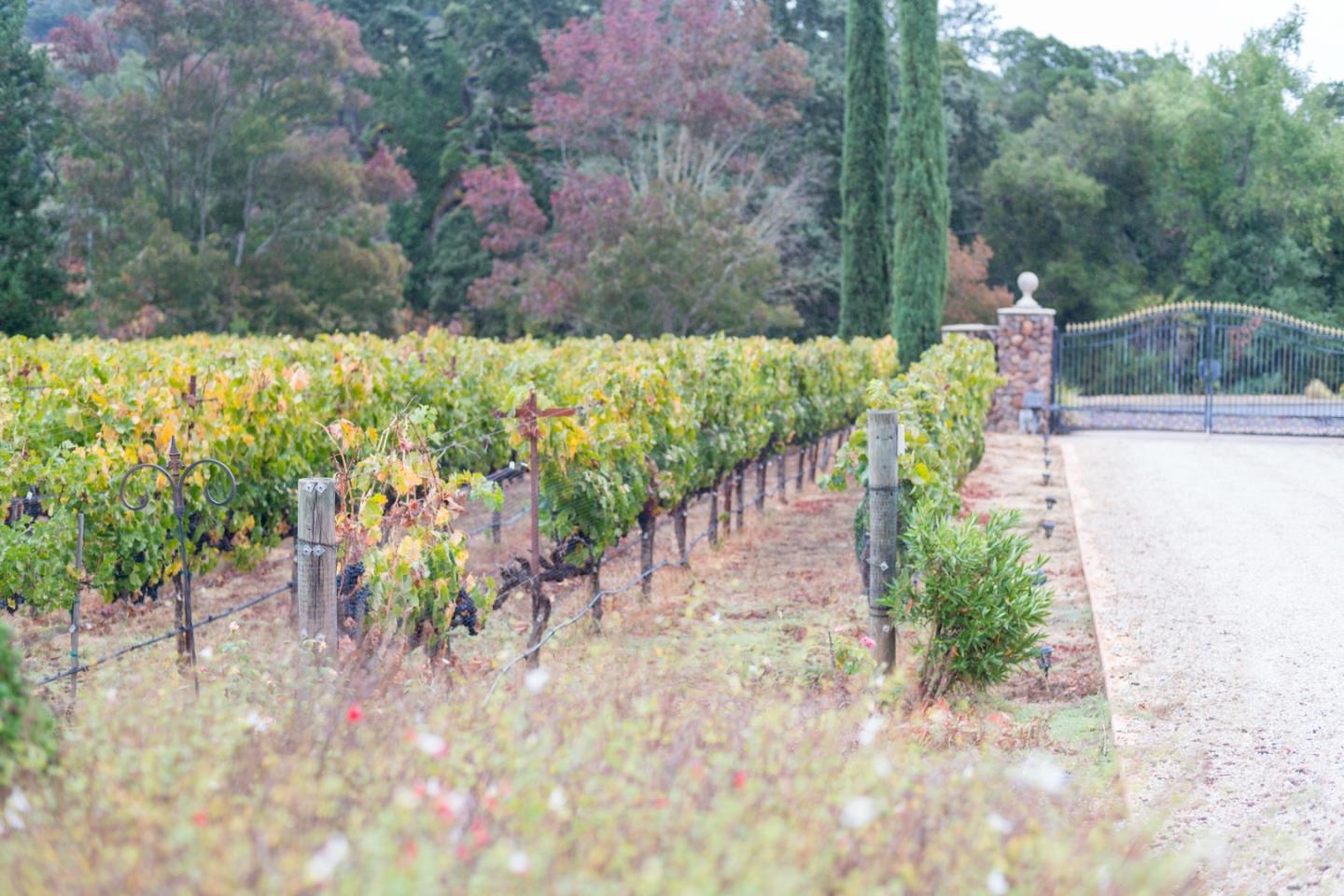 Detail Gallery Image 31 of 34 For 5371 Stonehurst Dr, Martinez,  CA 94553 - 5 Beds | 4/1 Baths