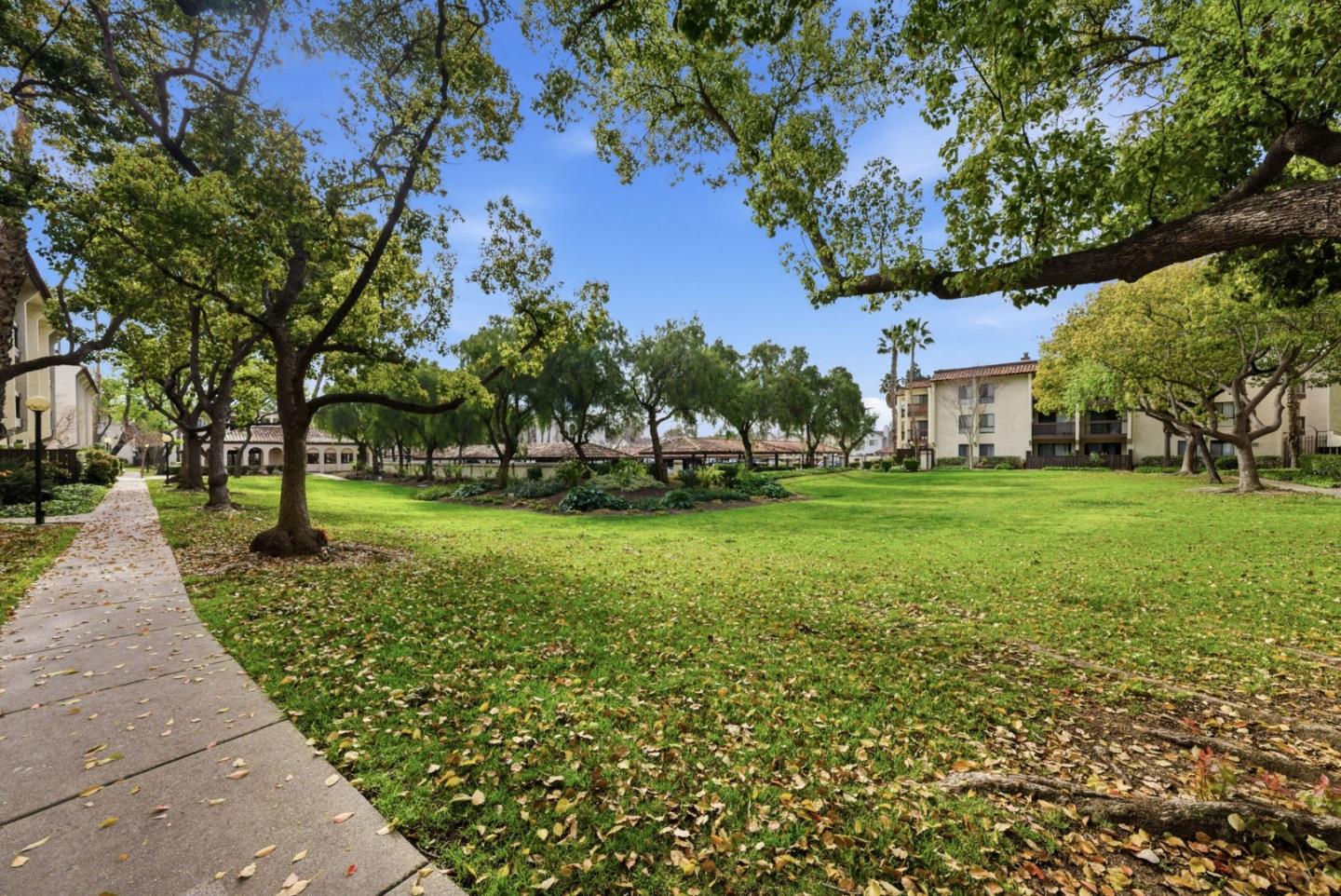 Detail Gallery Image 29 of 58 For 39931 Cedar Blvd #305,  Newark,  CA 94560 - 1 Beds | 1 Baths