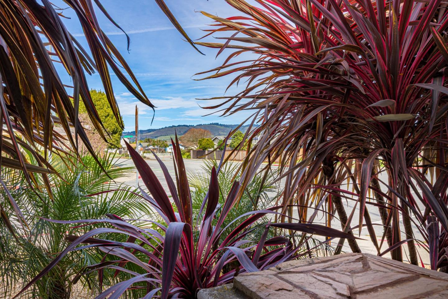 Detail Gallery Image 19 of 20 For 501 Tuttle Ave, Watsonville,  CA 95076 - 2 Beds | 2 Baths