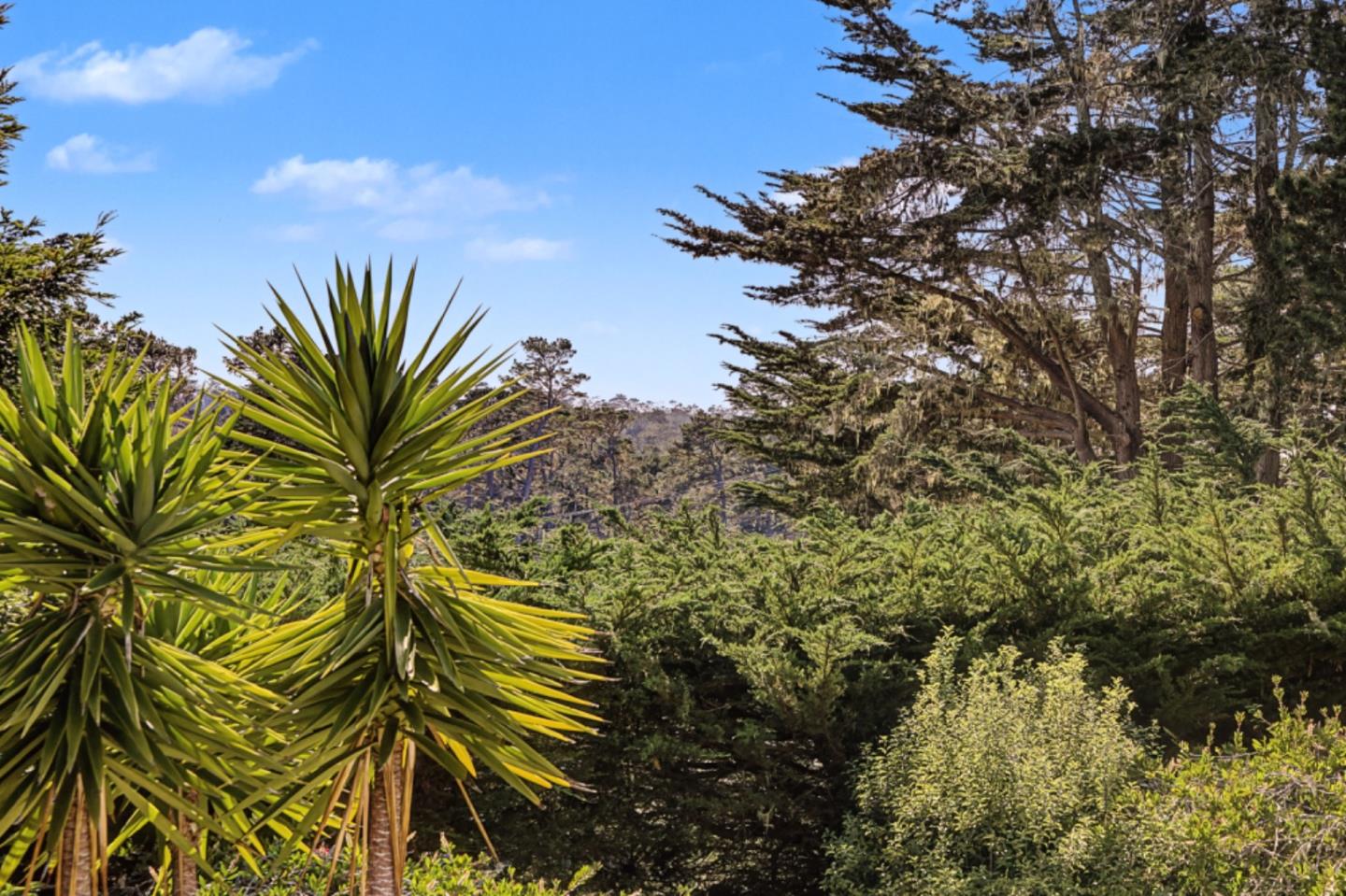 Detail Gallery Image 28 of 36 For 3076 Strawberry Hill Rd, Pebble Beach,  CA 93953 - 3 Beds | 3 Baths