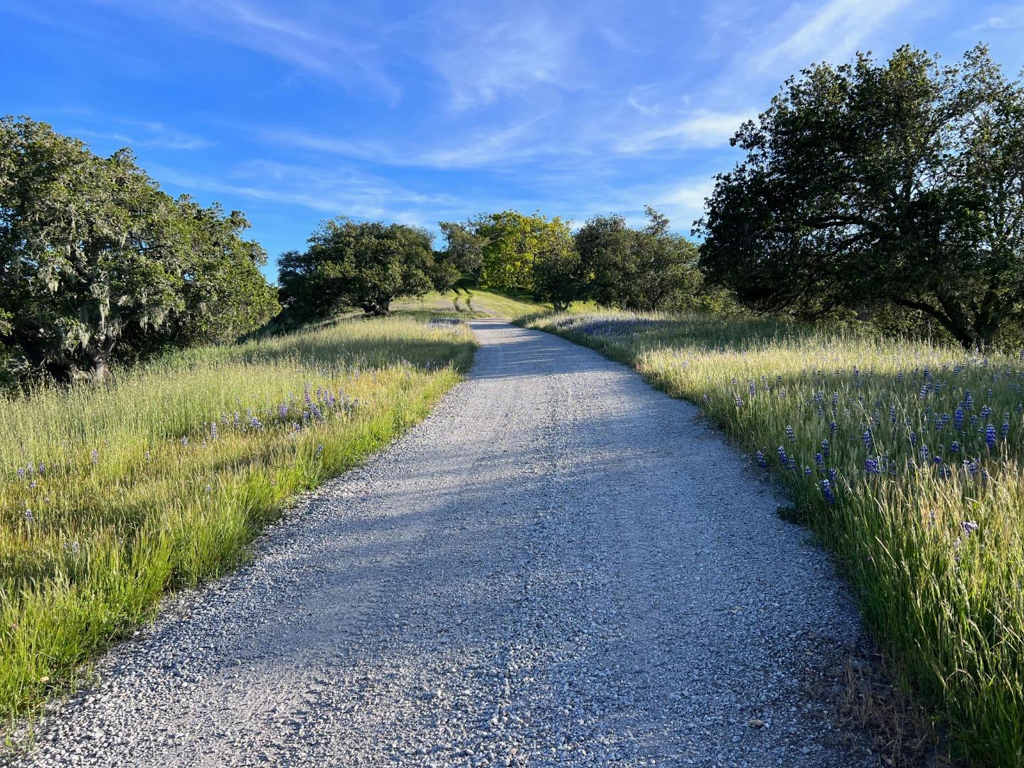 Detail Gallery Image 3 of 41 For 28000 Underwood Rd, Corral De Tierra,  CA 93908 - 3 Beds | 2 Baths