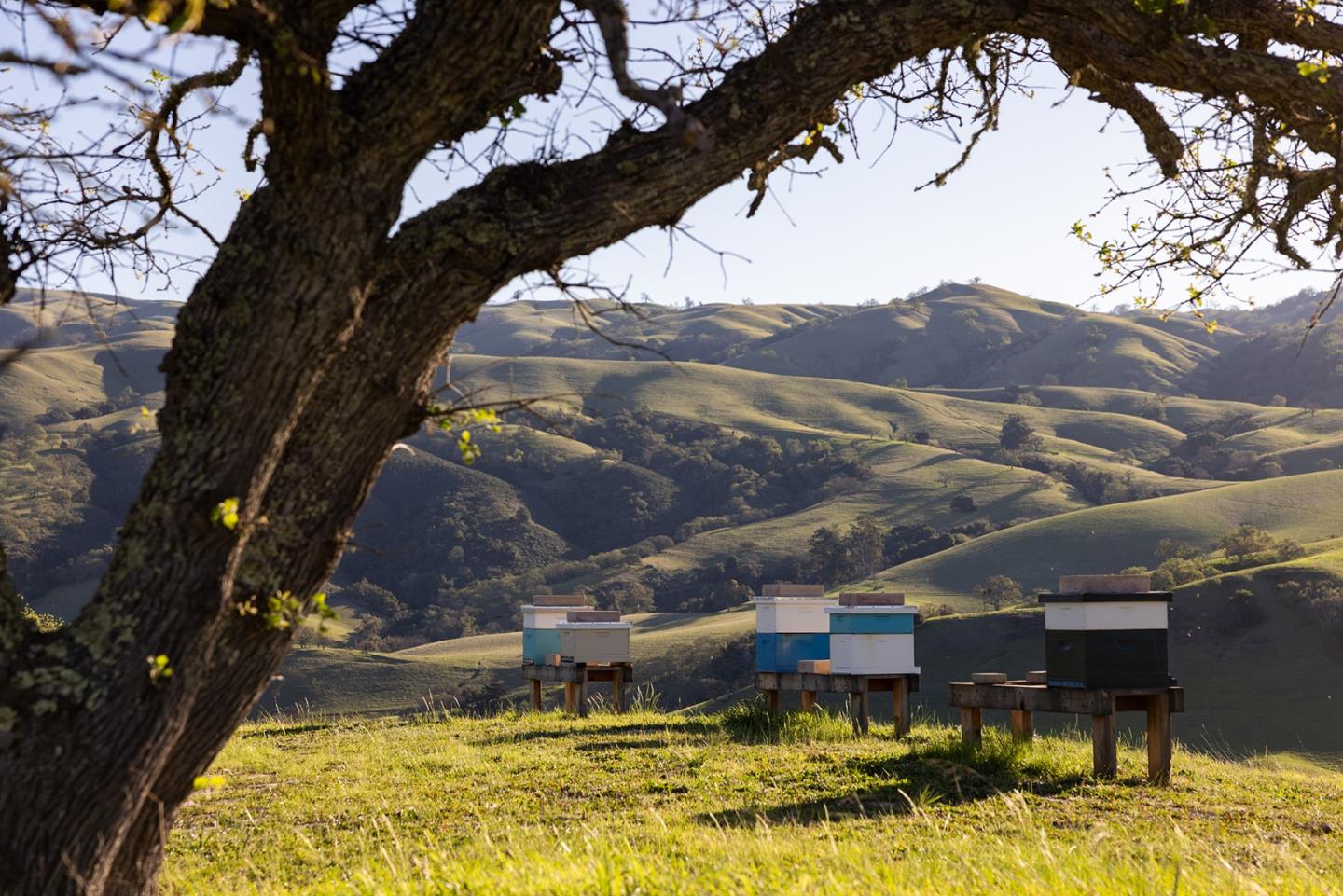 Detail Gallery Image 5 of 41 For 28000 Underwood Rd, Corral De Tierra,  CA 93908 - 3 Beds | 2 Baths
