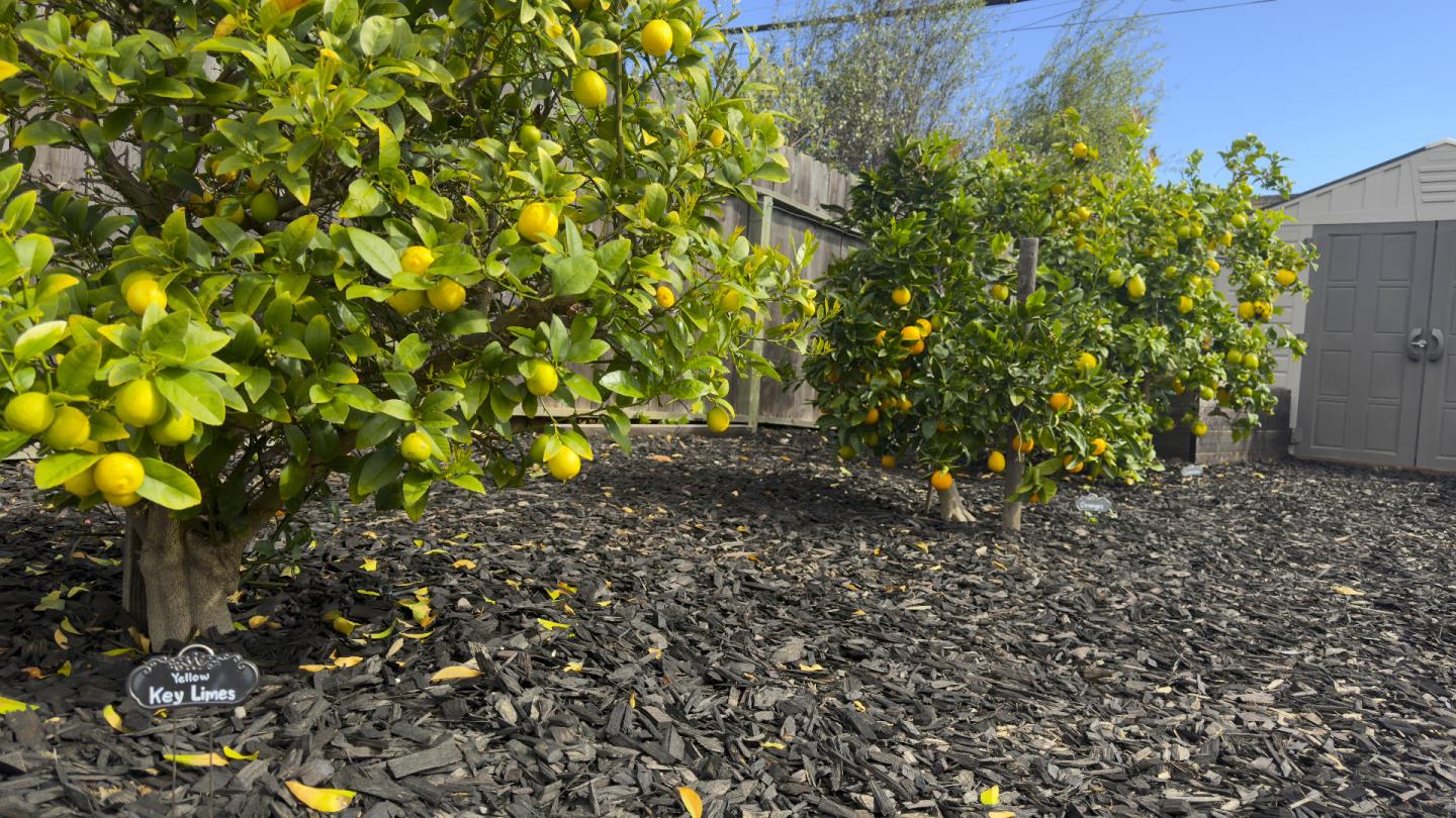 Detail Gallery Image 30 of 34 For 2081 Shoreview Ave, San Mateo,  CA 94401 - 2 Beds | 1 Baths