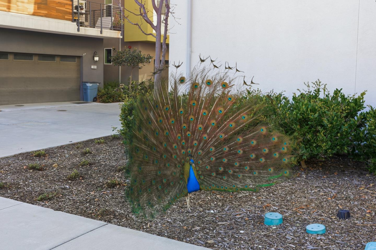 Photo #39: ML82036357 Listing: Photo #39