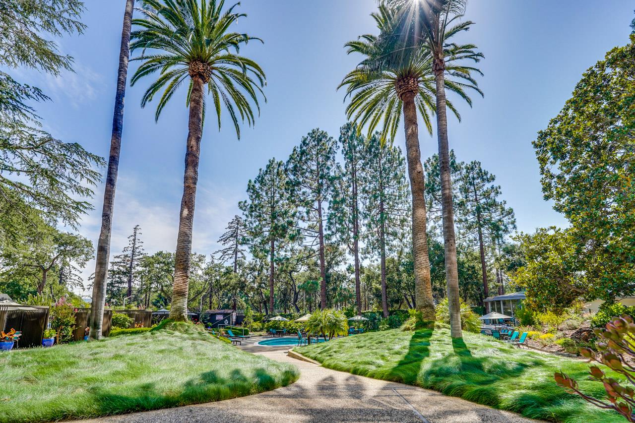 Photo #42: ML82036395 Listing: Photo #42