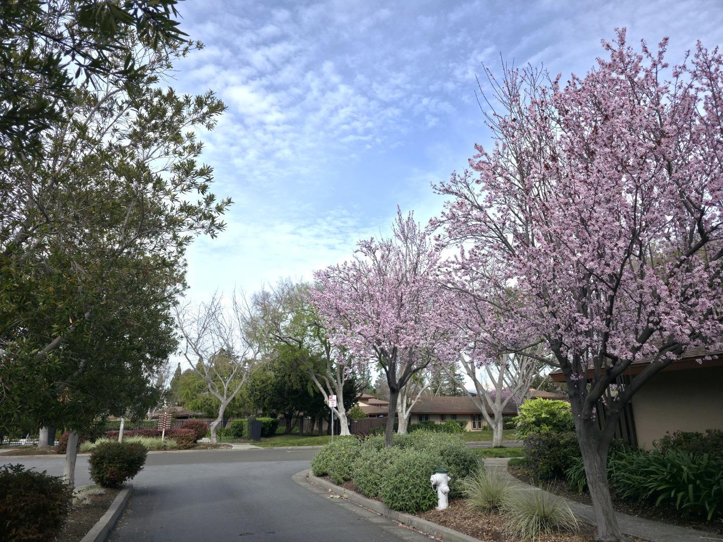 Photo #15: ML82036399 Listing: Photo #15