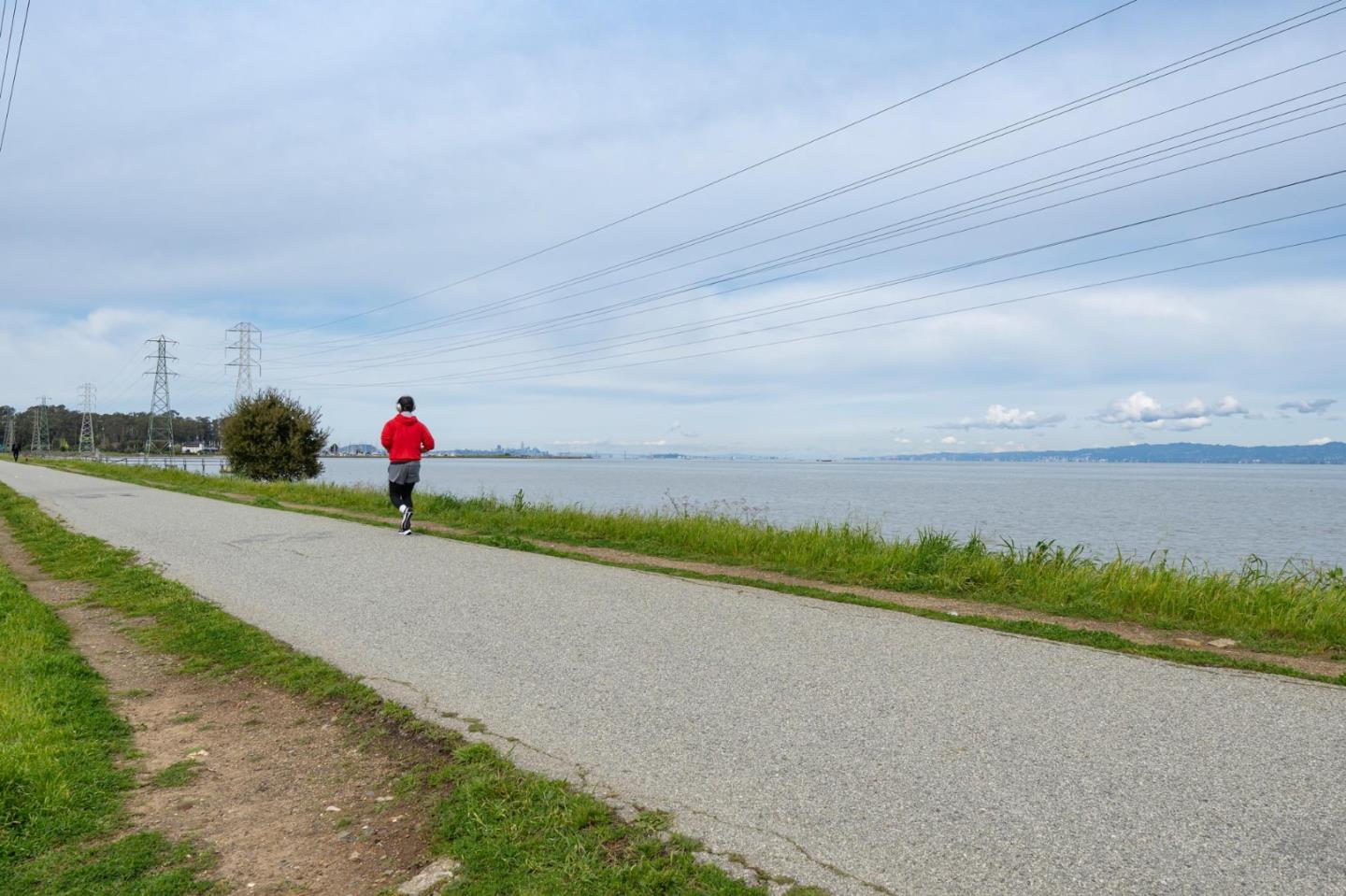 Detail Gallery Image 15 of 16 For 1729 Cypress Ave, San Mateo,  CA 94401 - 2 Beds | 1 Baths