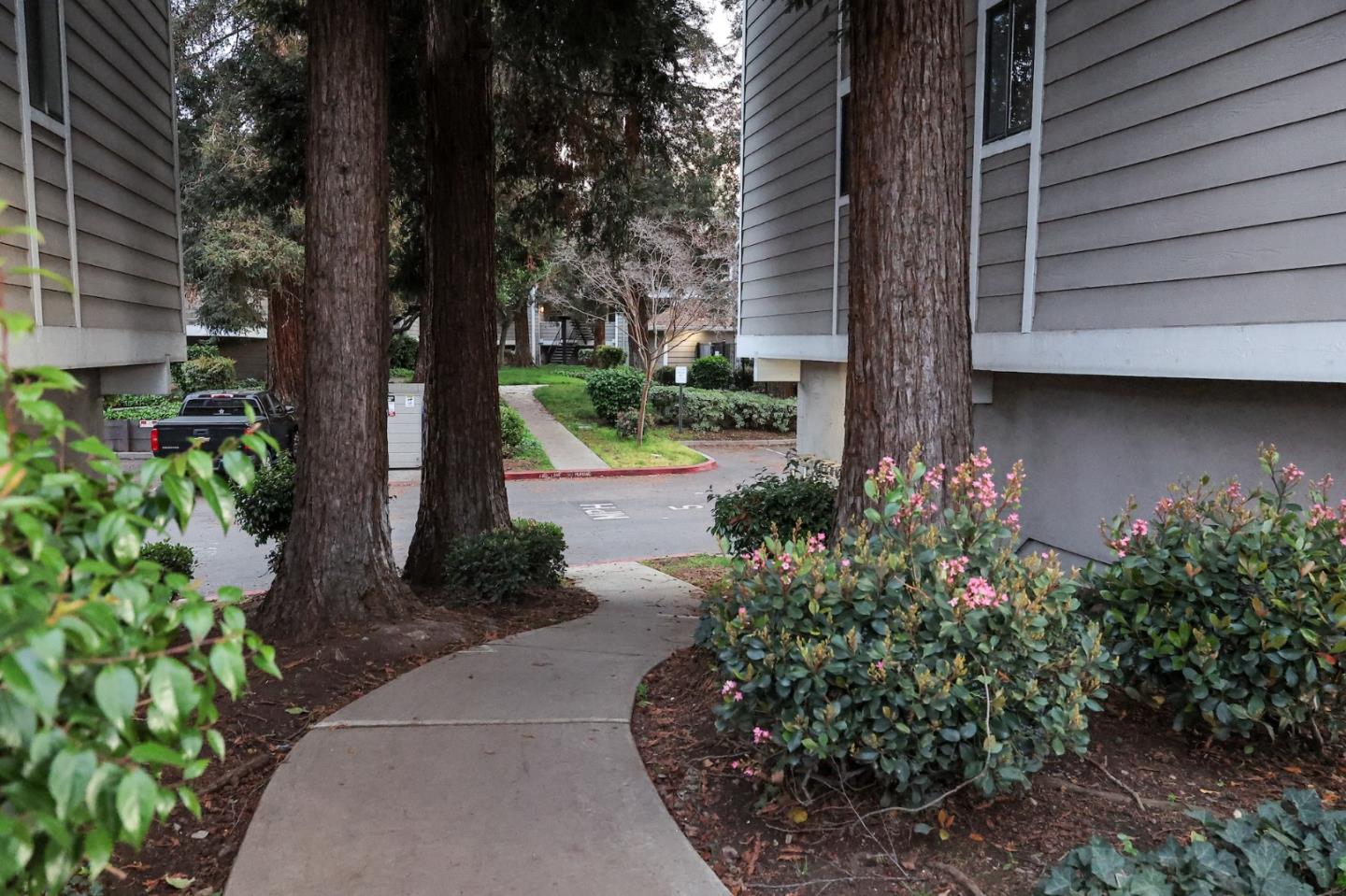 Photo #25: ML82036500 Listing: Photo #25