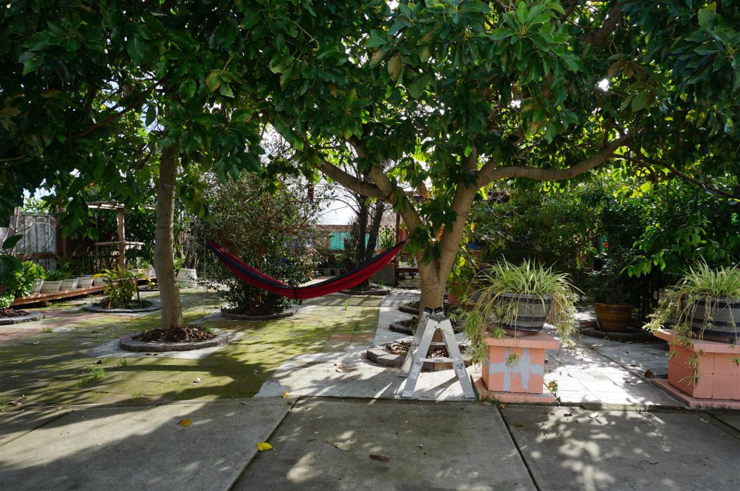 Detail Gallery Image 35 of 35 For 35037 Begonia St, Union City,  CA 94587 - 5 Beds | 2 Baths