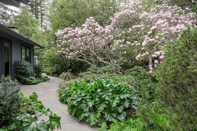 Detail Gallery Image 72 of 73 For 747 Bromfield Rd, Hillsborough,  CA 94010 - 4 Beds | 4/1 Baths