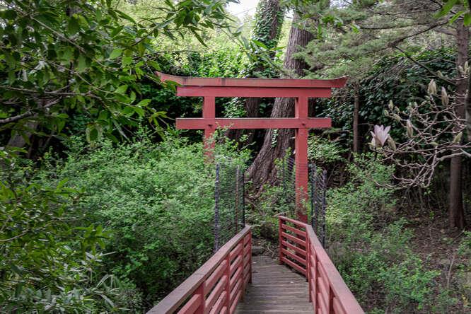 Detail Gallery Image 73 of 73 For 747 Bromfield Rd, Hillsborough,  CA 94010 - 4 Beds | 4/1 Baths