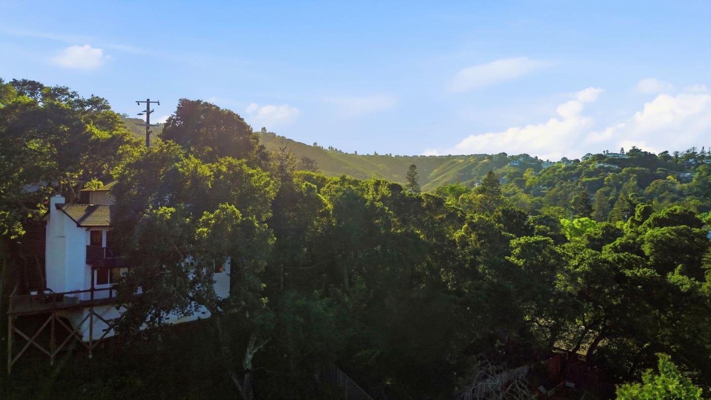 Detail Gallery Image 48 of 55 For 104 Winding Way, San Carlos,  CA 94070 - 3 Beds | 2 Baths