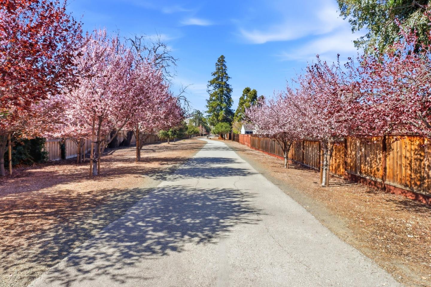 Detail Gallery Image 18 of 20 For 702 Minnesota Ave, San Jose,  CA 95125 - – Beds | – Baths