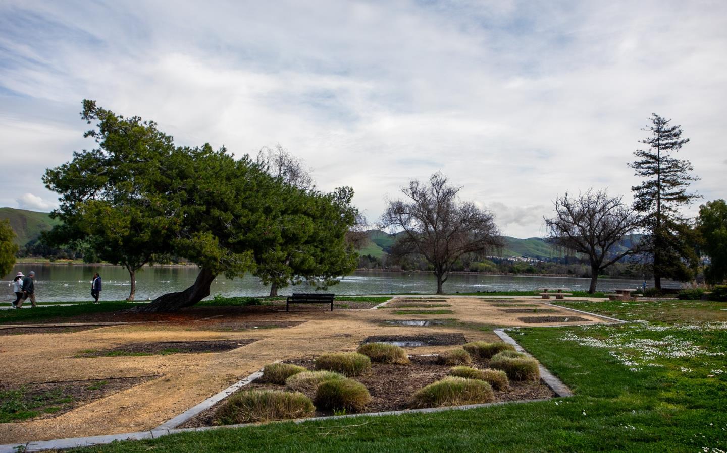 Detail Gallery Image 16 of 21 For 3674 Oakwood Ter #302,  Fremont,  CA 94536 - 1 Beds | 1 Baths