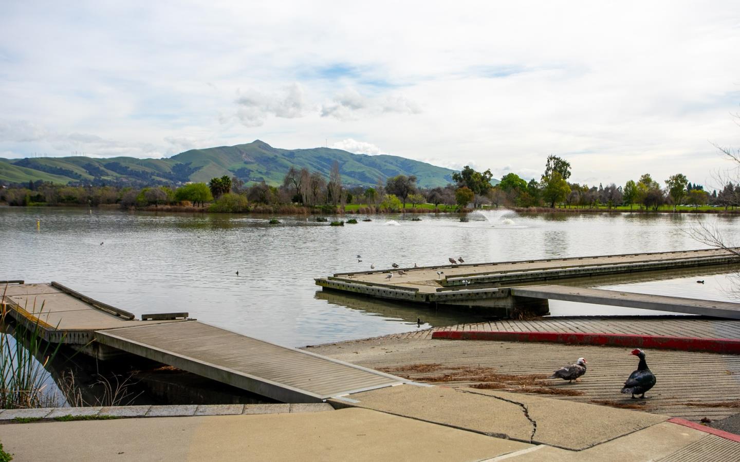 Detail Gallery Image 17 of 21 For 3674 Oakwood Ter #302,  Fremont,  CA 94536 - 1 Beds | 1 Baths