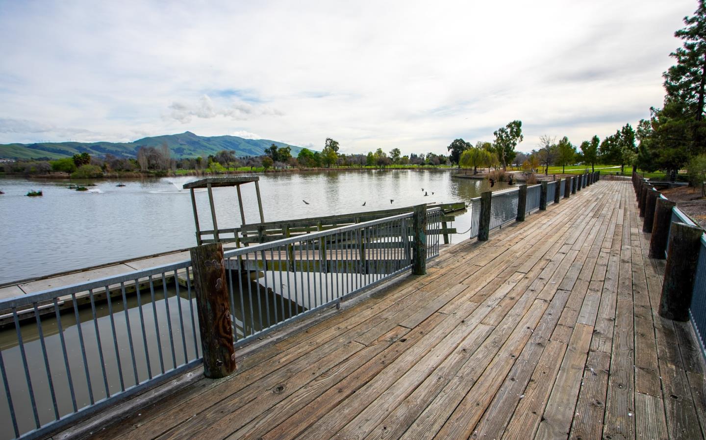 Detail Gallery Image 18 of 21 For 3674 Oakwood Ter #302,  Fremont,  CA 94536 - 1 Beds | 1 Baths