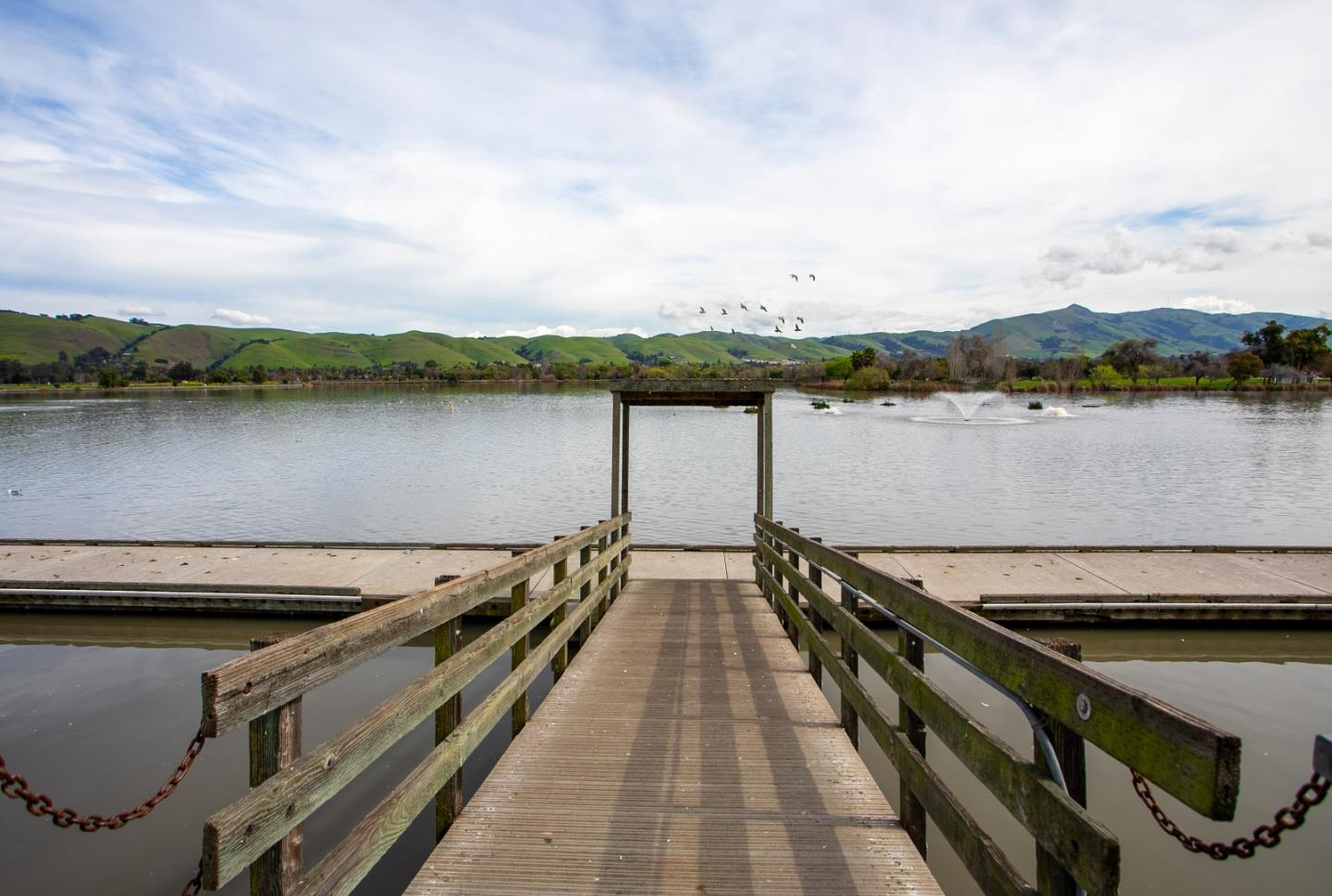 Detail Gallery Image 19 of 21 For 3674 Oakwood Ter #302,  Fremont,  CA 94536 - 1 Beds | 1 Baths