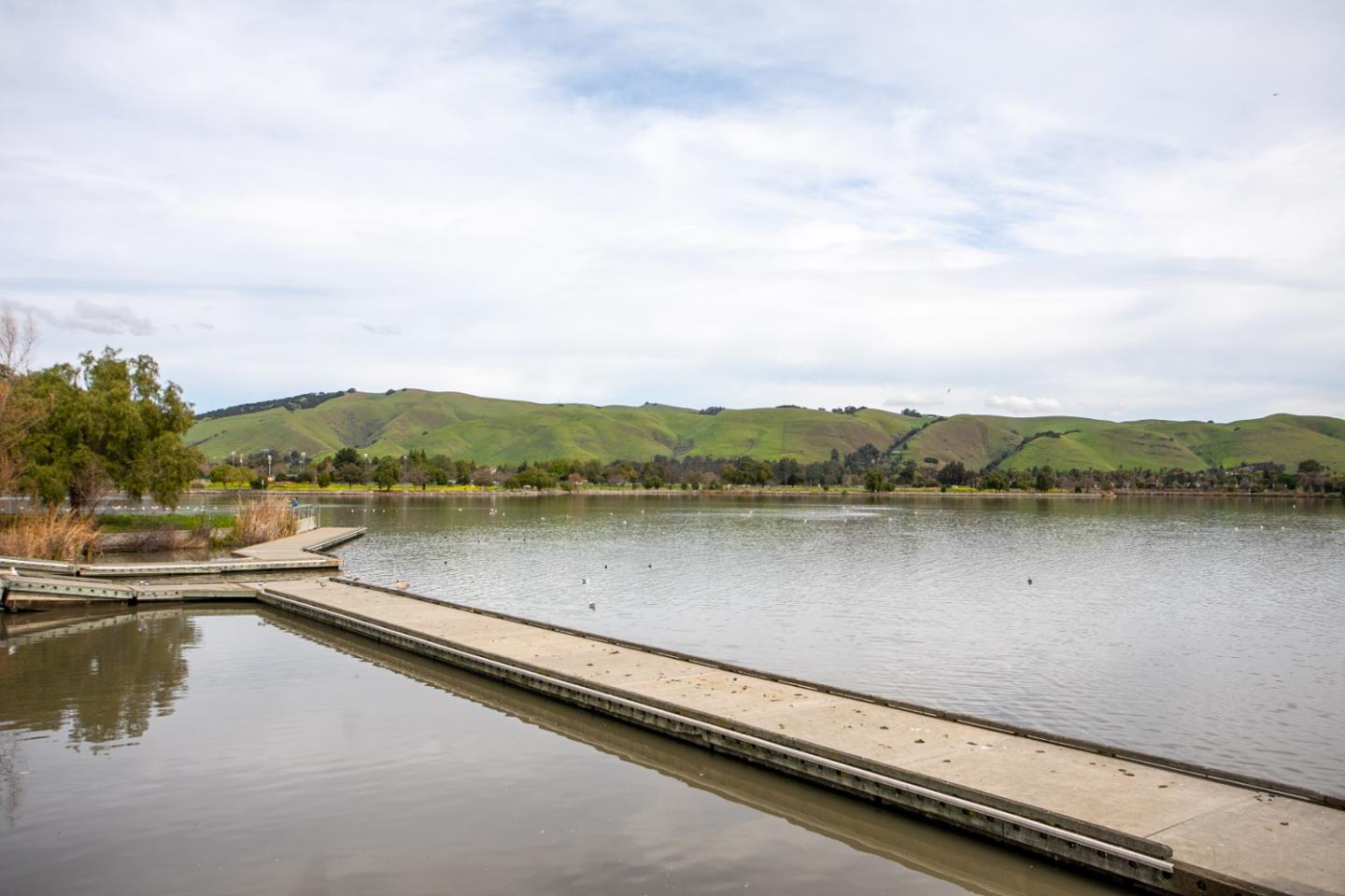 Detail Gallery Image 21 of 21 For 3674 Oakwood Ter #302,  Fremont,  CA 94536 - 1 Beds | 1 Baths