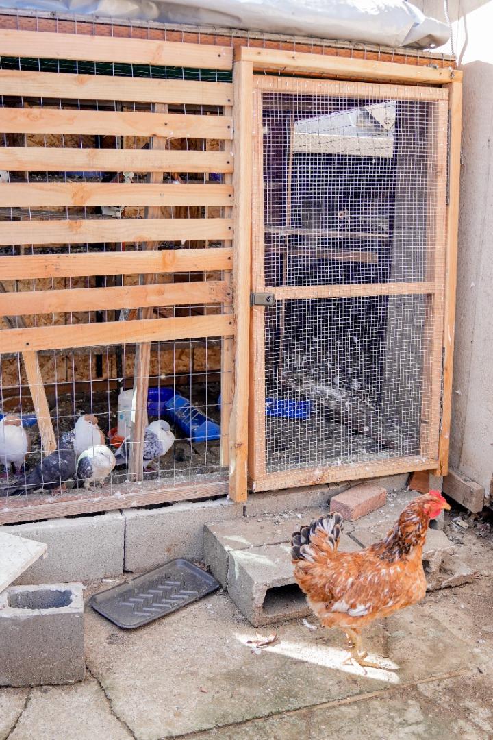 Detail Gallery Image 21 of 51 For 18940 Loree Ave, Cupertino,  CA 95014 - 5 Beds | 3 Baths