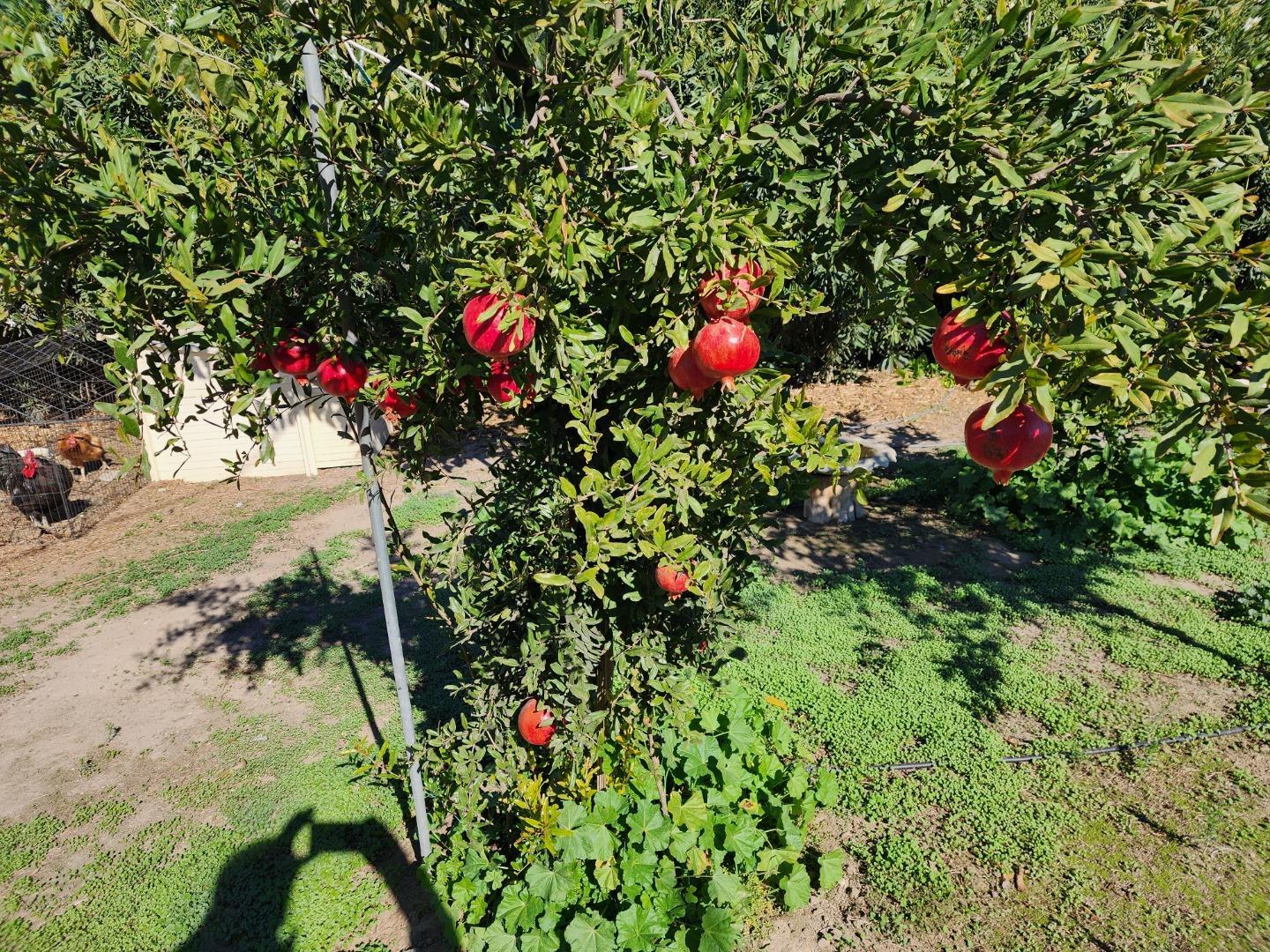Detail Gallery Image 32 of 48 For 3719 N Hart Rd, Modesto,  CA 95358 - 2 Beds | 2 Baths