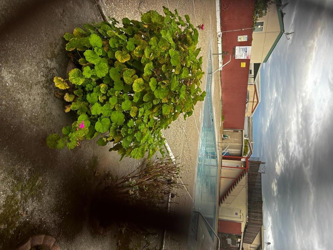 Detail Gallery Image 14 of 15 For 2053 E Bayshore Rd #24,  Redwood City,  CA 94063 - 2 Beds | 2 Baths