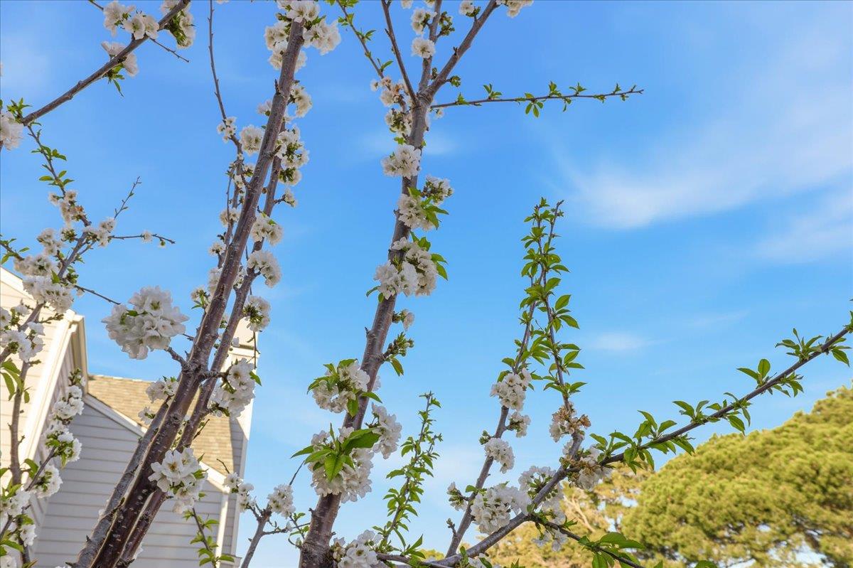 Photo #70: ML82036723 Listing: Photo #70